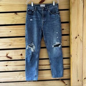 Everlane The Cheeky Jean (high rise, straight leg, size 28)